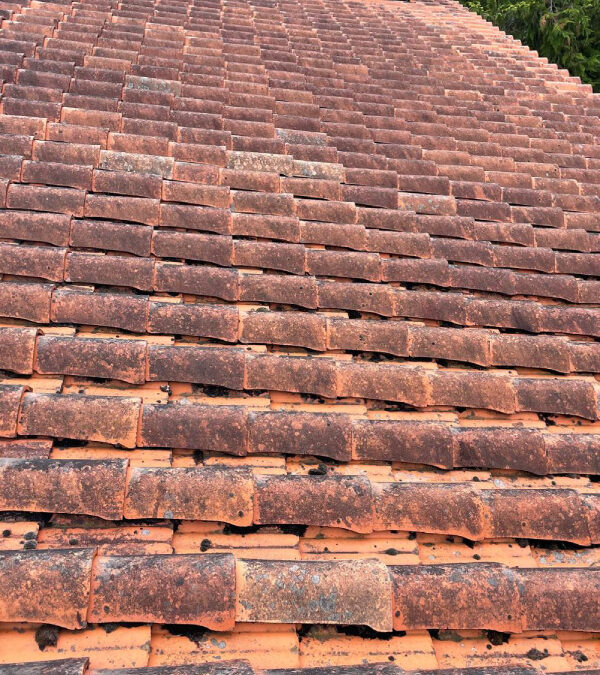 Réparation et démoussage à Angoulême